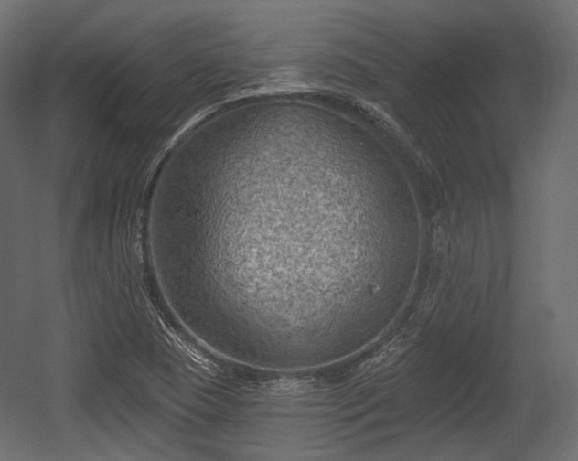 X0000054361409200508011208