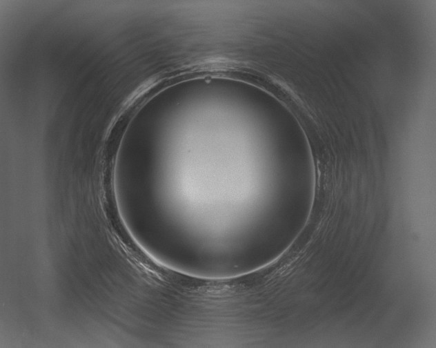 X0000054361410200508011208