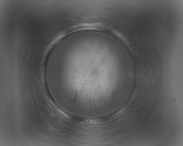 X0000054361411200508011208