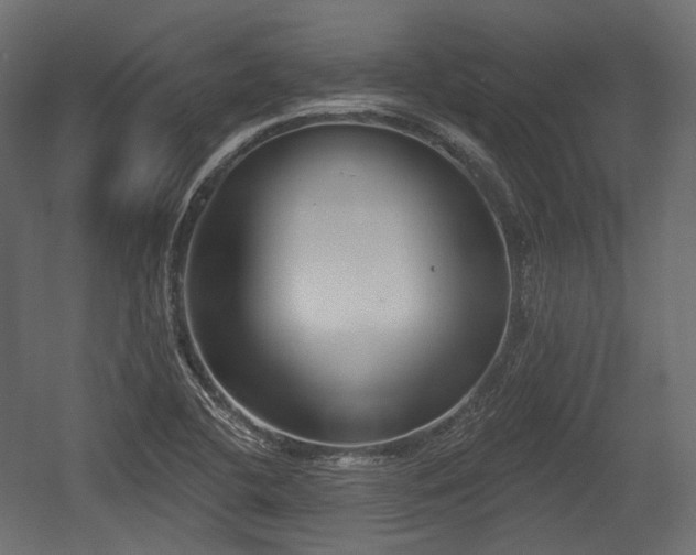 X0000054361412200508011208