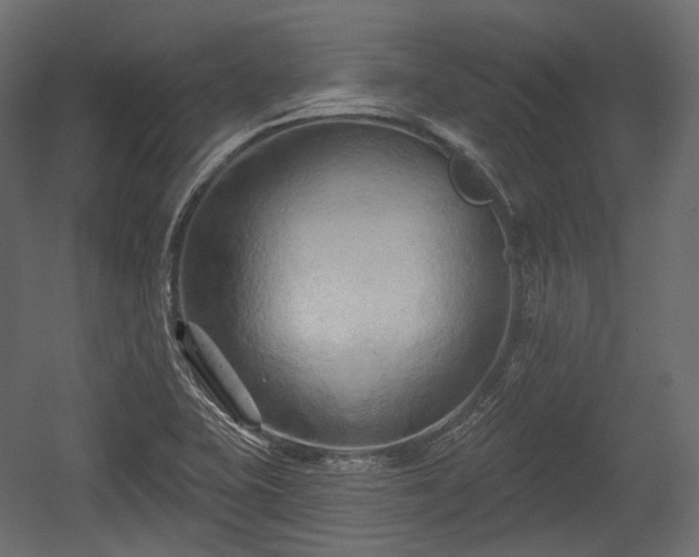 X0000054361415200508011208