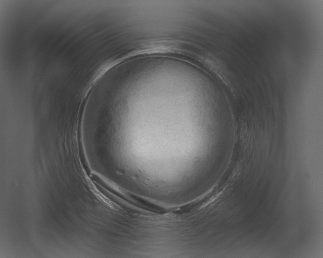 X0000054361417200508011208