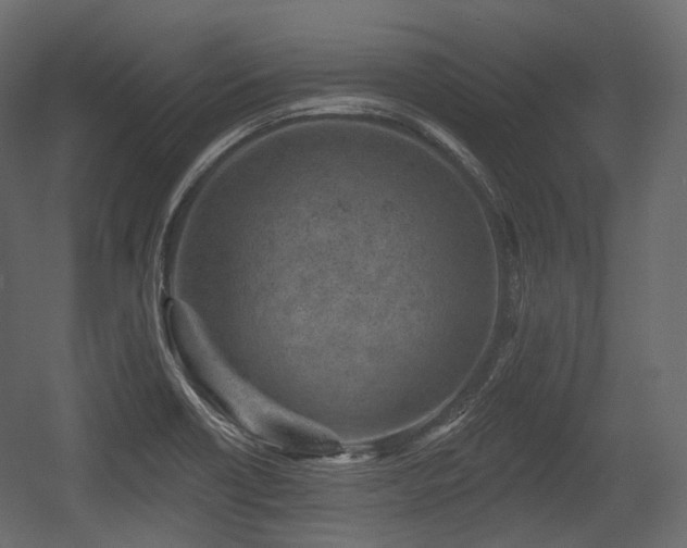 X0000054361418200508011208