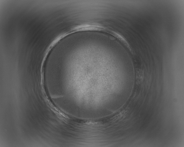 X0000054361419200508011208
