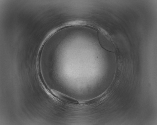 X0000054361421200508011208