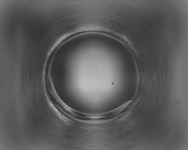 X0000054361422200508011208