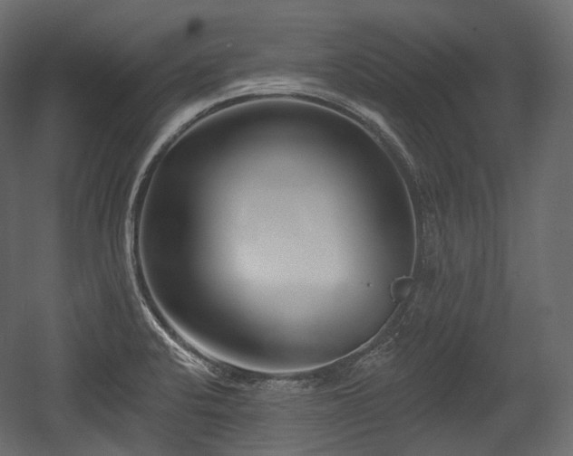 X0000054361424200508011208