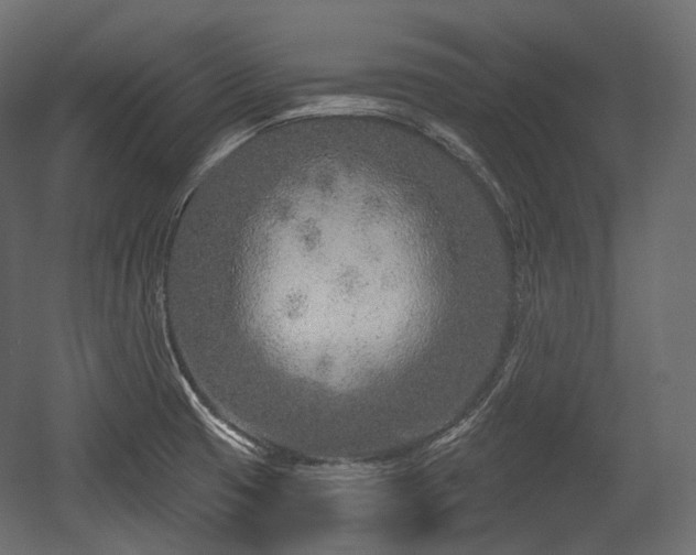 X0000054361425200508011208
