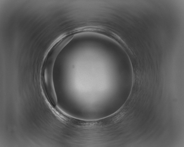 X0000054361426200508011208