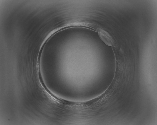 X0000054361428200508011208