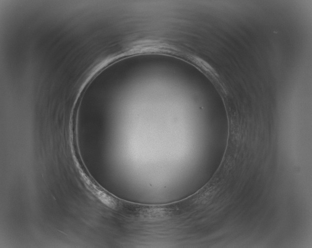 X0000054361431200508011208