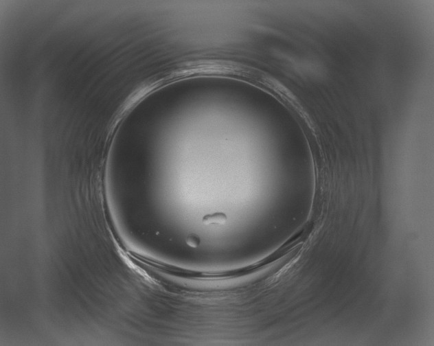 X0000054361433200508011209
