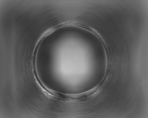 X0000054361434200508011209