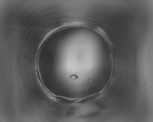 X0000054361436200508011209