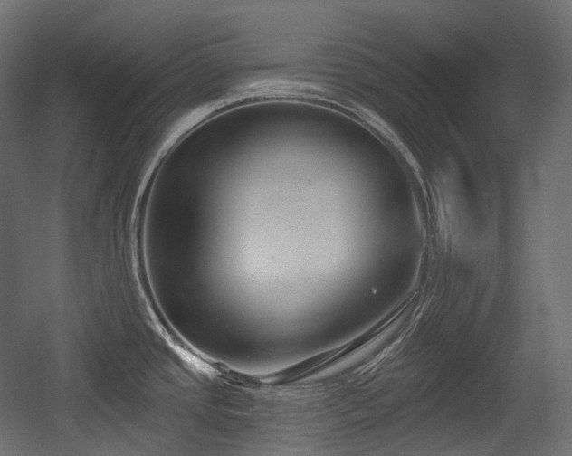 X0000054361437200508011209