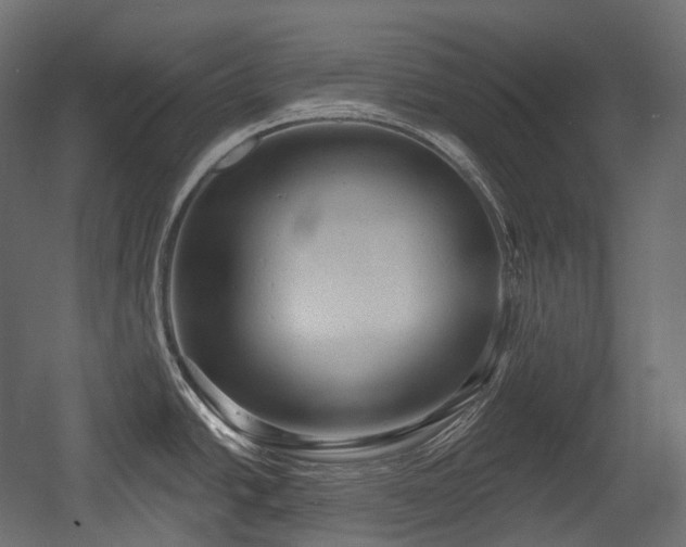X0000054361438200508011209