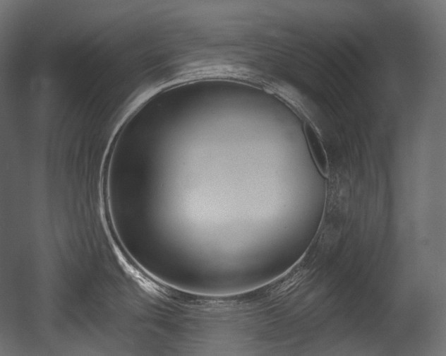 X0000054361439200508011209