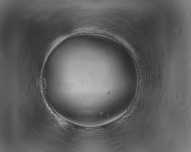 X0000054361440200508011209