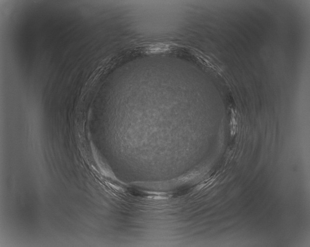 X0000054361441200508011208