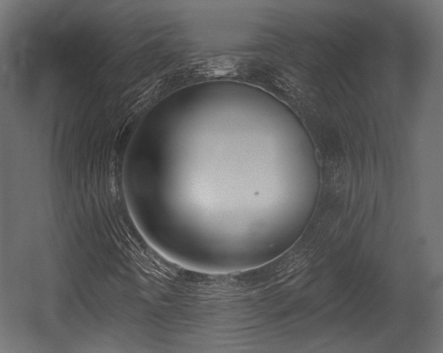 X0000054361442200508011208