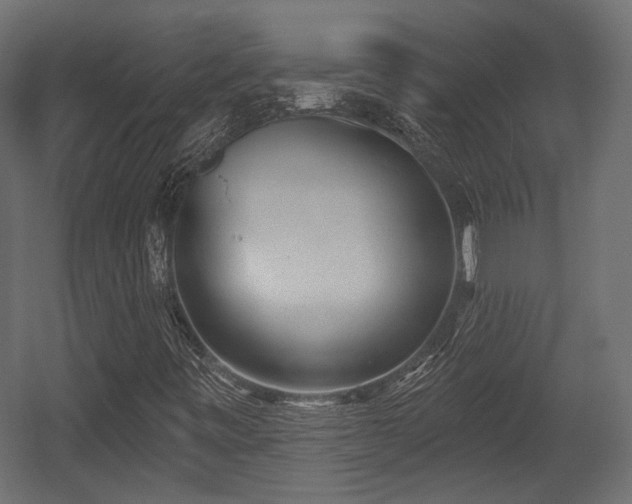 X0000054361443200508011208
