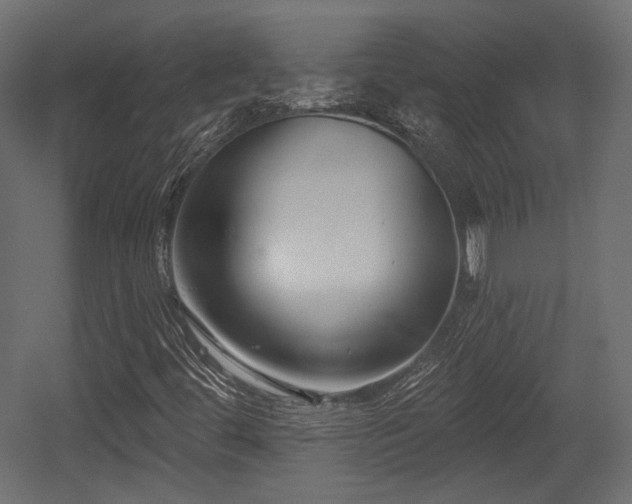 X0000054361444200508011208