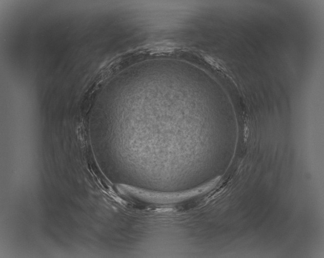 X0000054361445200508011208