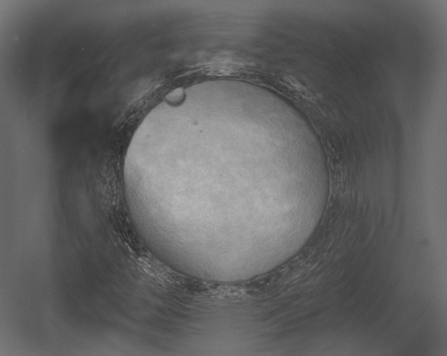X0000054361446200508011208