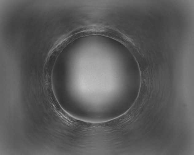 X0000054361448200508011208