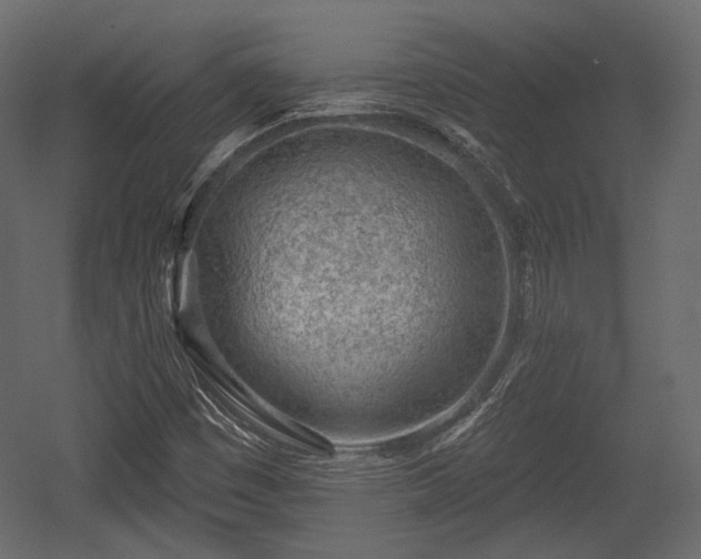 X0000054361449200508011208