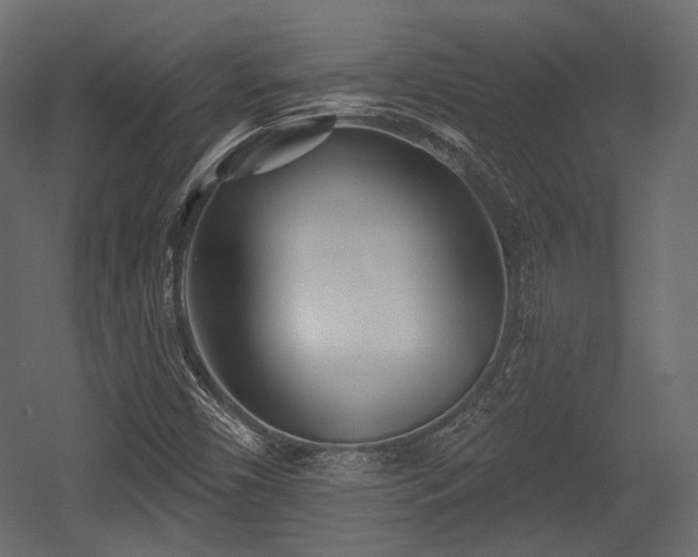 X0000054361450200508011208