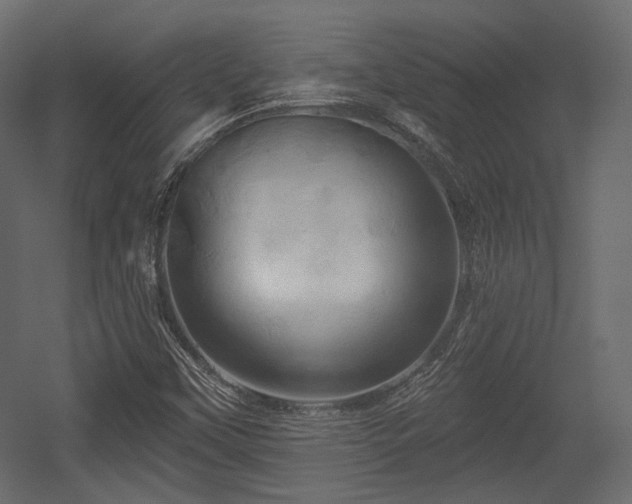 X0000054361451200508011208
