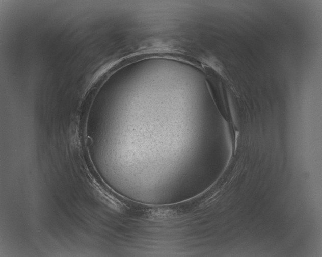 X0000054361452200508011208