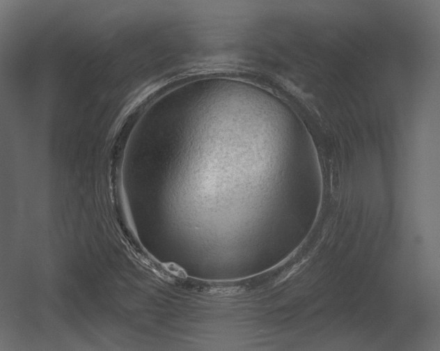 X0000054361453200508011208