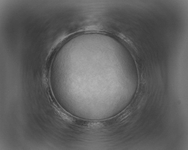 X0000054361454200508011208