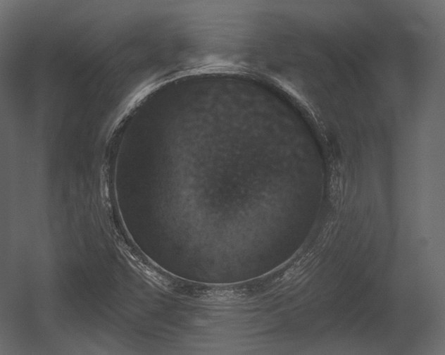 X0000054361455200508011208
