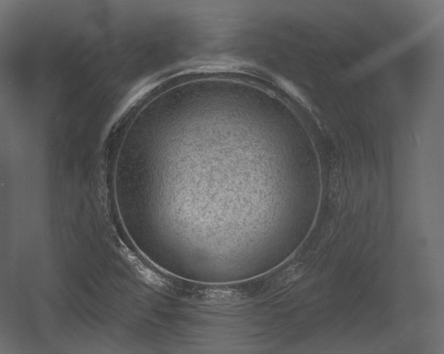 X0000054361456200508011208