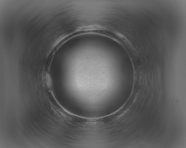 X0000054361457200508011208