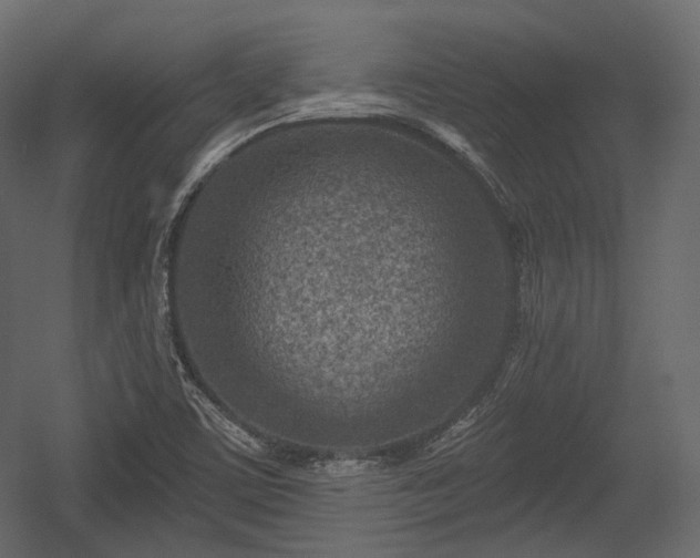X0000054361459200508011208