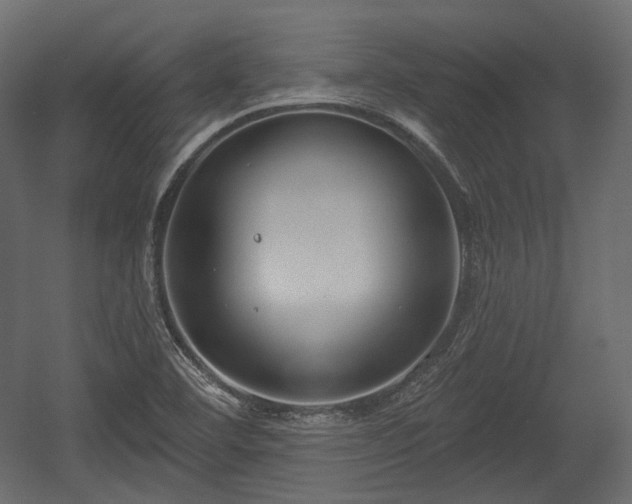 X0000054361460200508011208