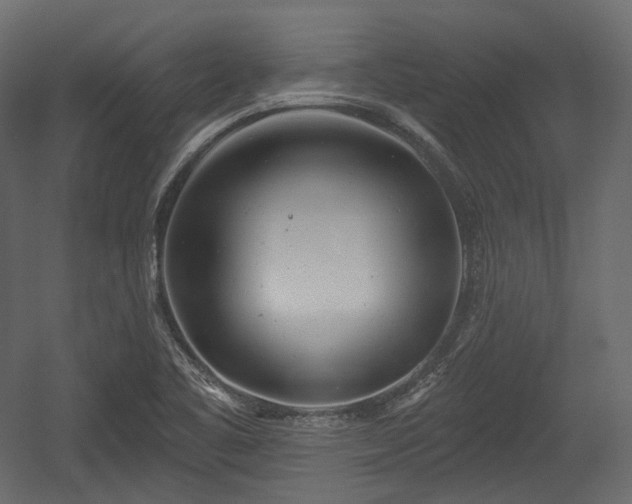 X0000054361461200508011207