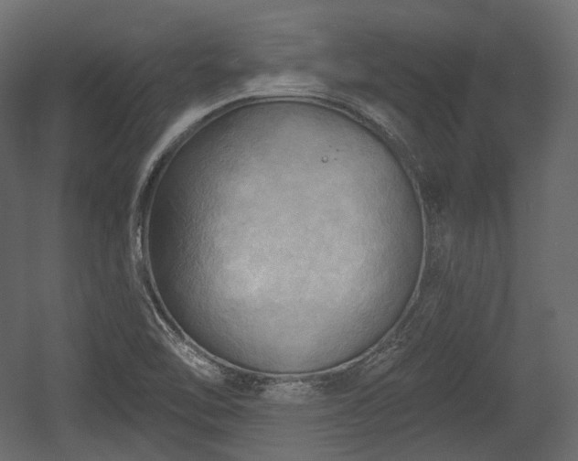 X0000054361462200508011207