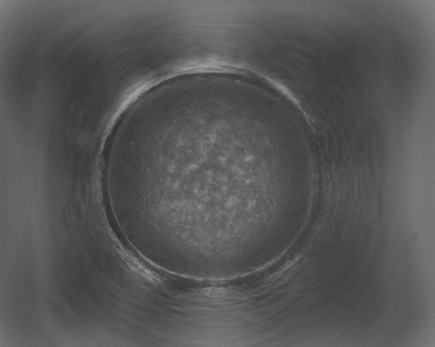 X0000054361463200508011207