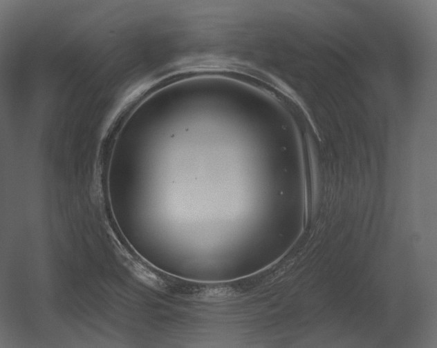 X0000054361464200508011207