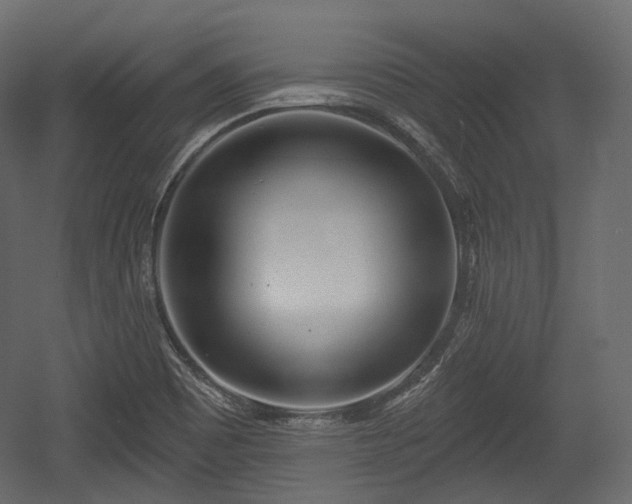 X0000054361465200508011207