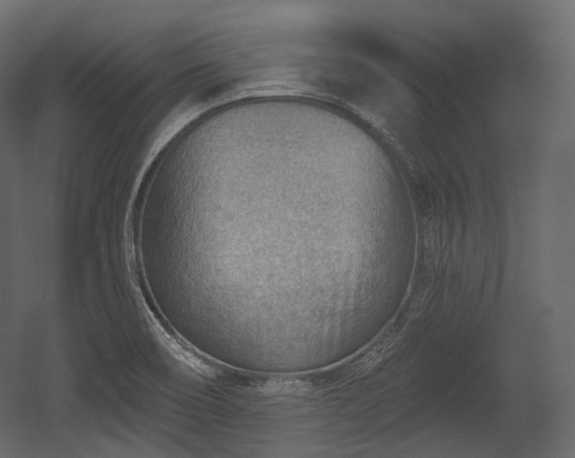 X0000054361466200508011207