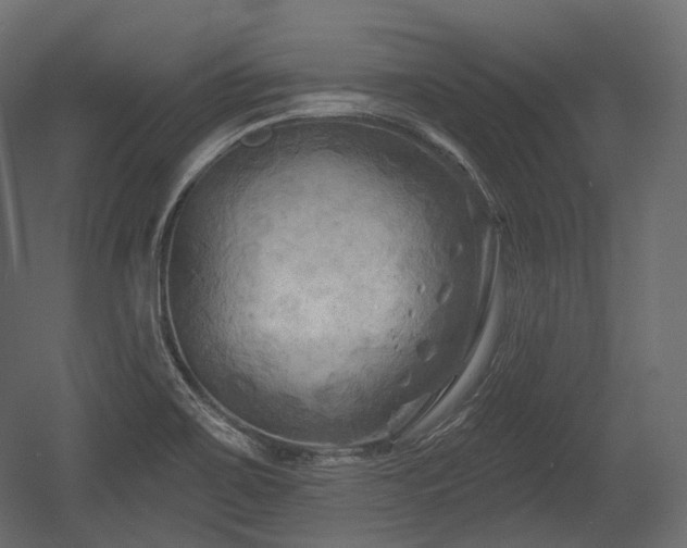 X0000054361467200508011207