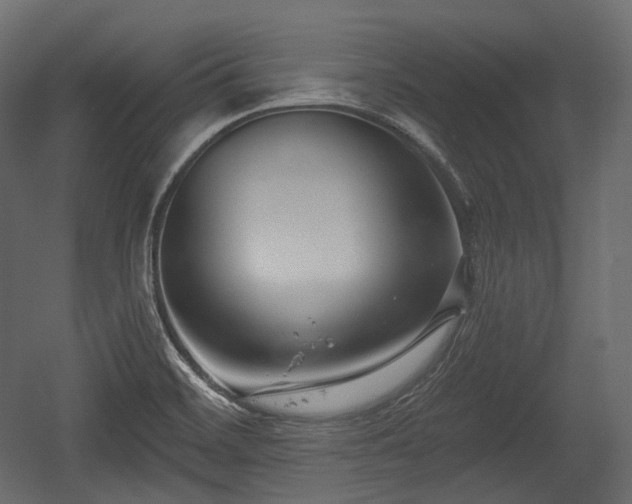 X0000054361468200508011207