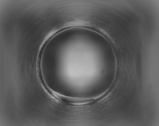 X0000054361469200508011207