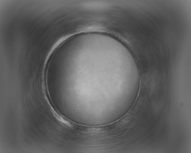 X0000054361470200508011207